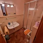 Geiger 3*